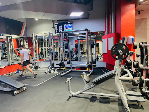 Snap Fitness Media City | Best Gym in Dubai