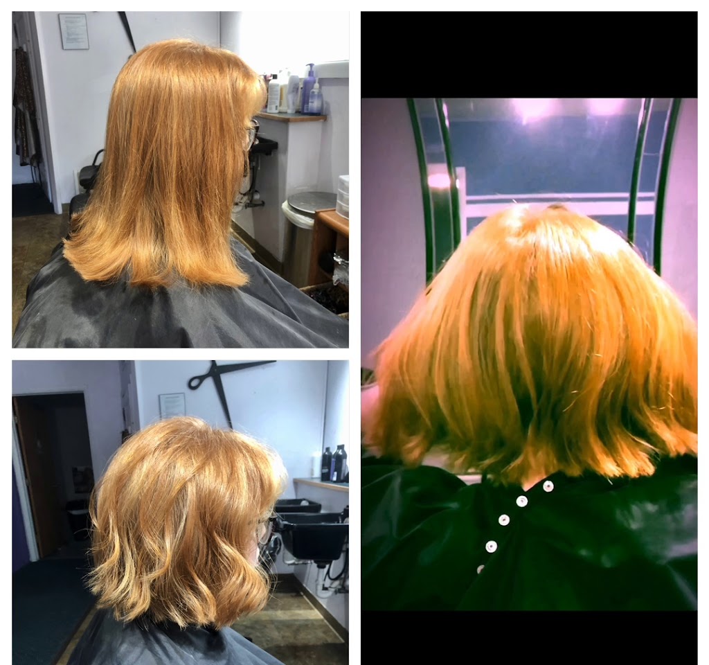 Hair salon in Livingston Montana USA, Paradise Impressions