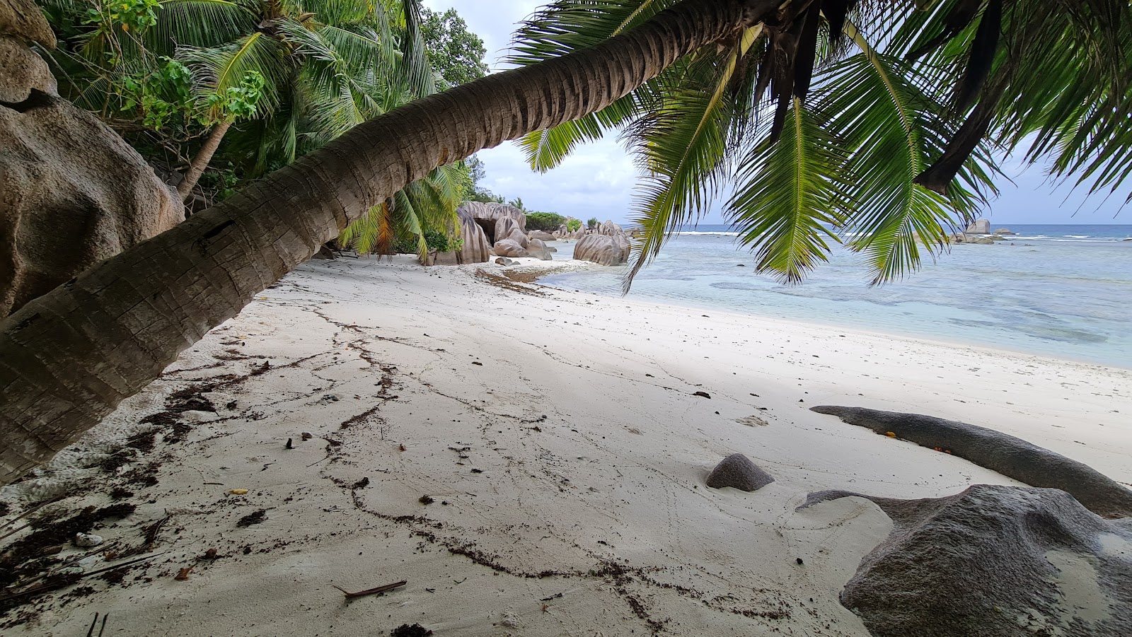 Photo of Anse Pierrot Beach located in natural area