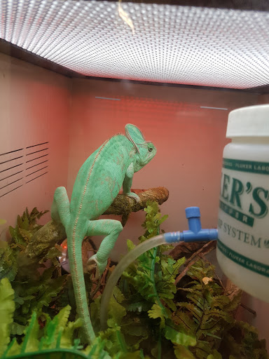 Pet Supply Store «Pet Supplies Plus», reviews and photos, 101 Sutton Ave, Oxford, MA 01540, USA