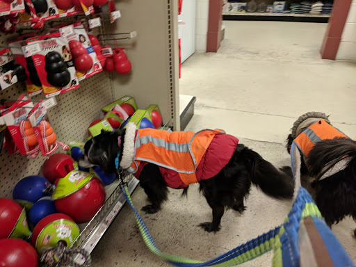 Pet Supply Store «Red Mill Pet Supplies», reviews and photos, 1111 W Chicago Blvd # 120, Tecumseh, MI 49286, USA