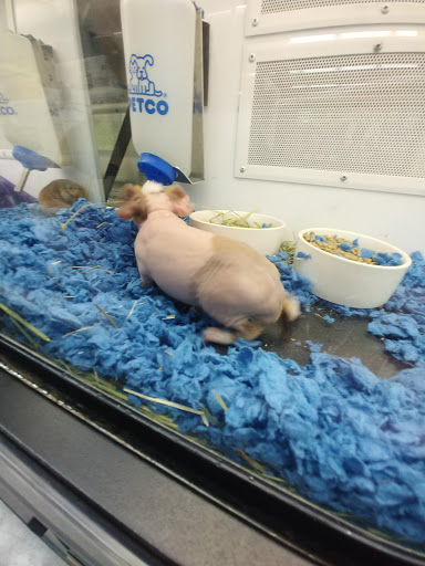 Petco image