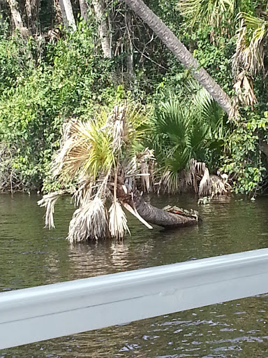 Boat Tour Agency «River Lilly Cruises», reviews and photos, 500 E Prima Vista Blvd, Port St Lucie, FL 34983, USA