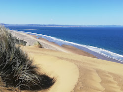 Pouto Beach'in fotoğrafı çok temiz temizlik seviyesi ile