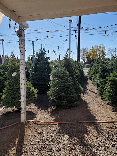 Troop 235 Christmas Tree Lot