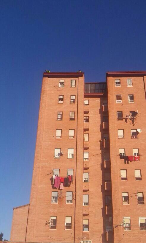 Reformas, Pintura, Reparación de Fachadas Jaén - Trabajos Verticales Iluart