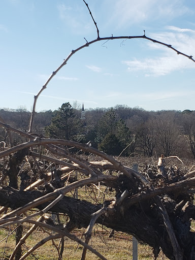 Winery «Crown Winery», reviews and photos, 3638 E Mitchell St, Humboldt, TN 38343, USA