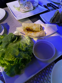 Rouleau de printemps du Restaurant asiatique Restaurant Vogue d'Asie (忆江南餐厅) à Nice - n°3
