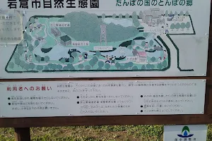 Iwakura City Natural Ecological Park image
