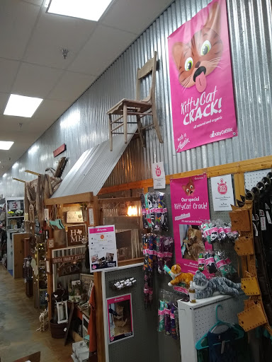 Gift Shop «Austin Gift Company», reviews and photos, 4211 S Lamar Blvd, Austin, TX 78704, USA