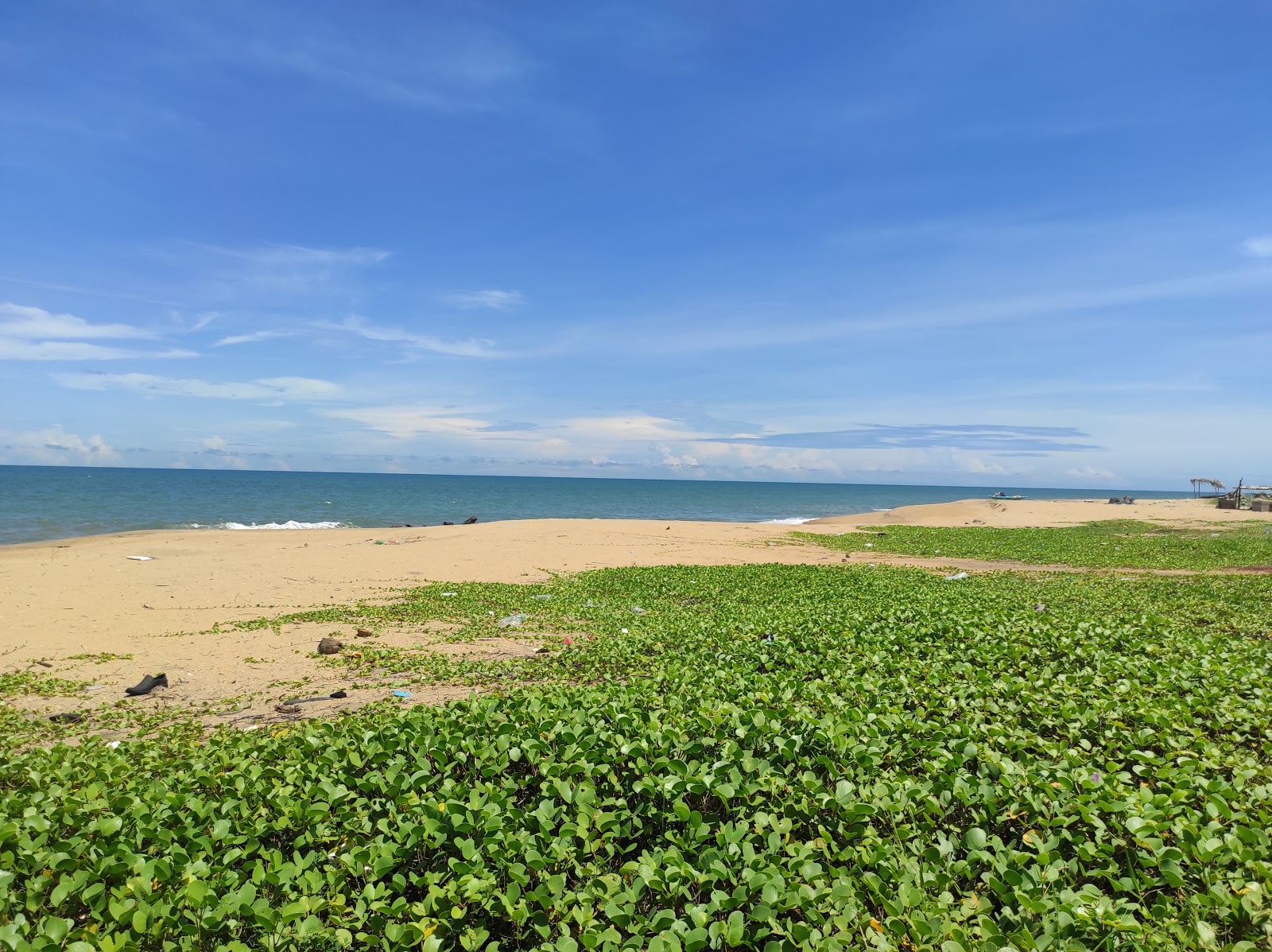 Zdjęcie Golden Beach z poziomem czystości wysoki