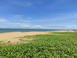Zdjęcie Golden Beach z poziomem czystości wysoki