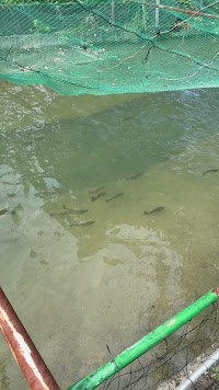 釣り掘相ノ見の里
