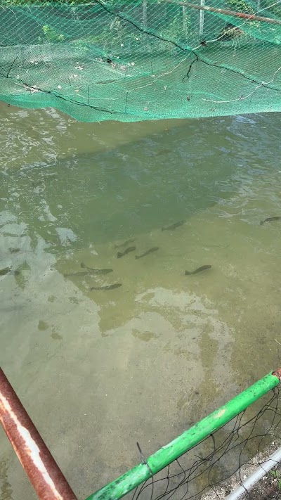 釣り掘相ノ見の里