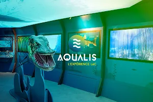 Musée Aqualis image