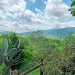 Photo n°9 de l'avis de Francesco.a fait le 05/05/2024 à 13:00 sur le  Agriturismo Colle Bralle à Fontegreca