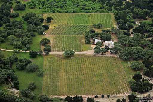 Winery «Westcave Cellars Winery», reviews and photos, 25711 Hamilton Pool Rd, Round Mountain, TX 78663, USA