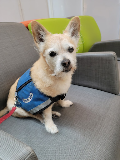 Queensdale Animal Hospital image