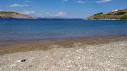 Cocoloco Beach'in fotoğrafı #42 ile birlikte