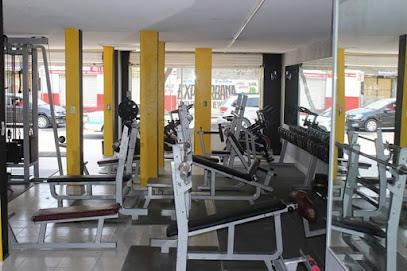 Vlixes Gym - Av El Sauz 515, Los Laureles, 38020 Celaya, Gto., Mexico