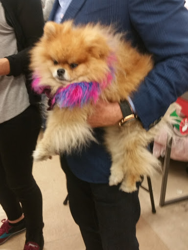 Pet Supply Store «Petco Animal Supplies», reviews and photos, 508 N Doheny Dr, West Hollywood, CA 90048, USA