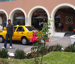 Nutrisa Catedral photo