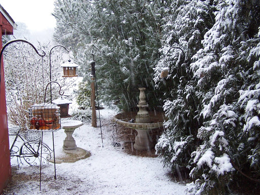 Florist «Heart To Heart Flower Shop», reviews and photos, 137 Fishing Creek Rd, Cape May, NJ 08204, USA