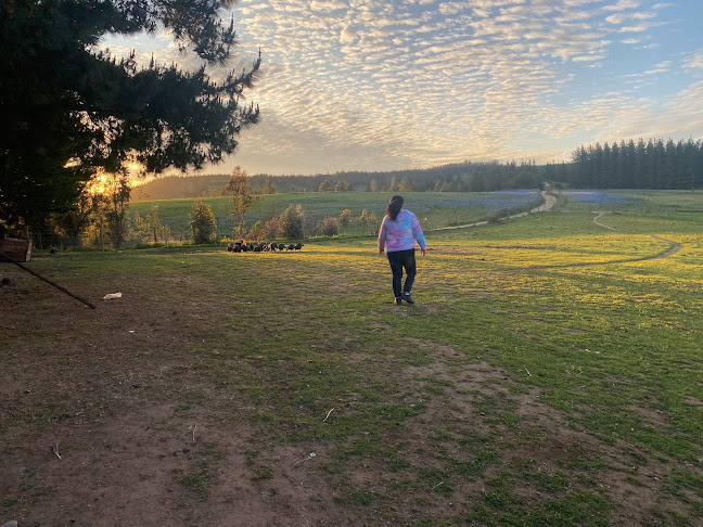 Chillán Soccer - Campo de fútbol