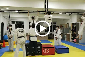 Elite Taekwondo image