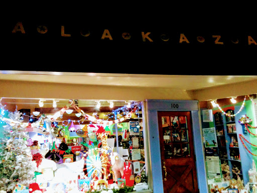 Toy Store «Alakazam Toys & Gifts», reviews and photos, 100 E Main St, Charlottesville, VA 22902, USA