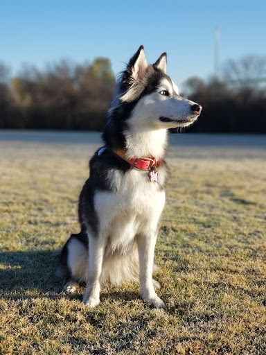 Park «Hoblitzelle Park», reviews and photos, 7500 Red River Dr, Plano, TX 75025, USA