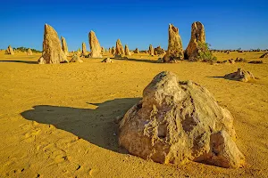 The Pinnacles Desert image