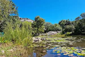 Meulwater Botanical Garden image