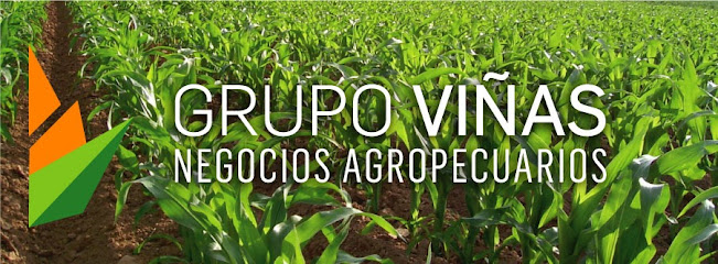 GRUPO VIÑAS - Corredores de Cereales y Oleaginosas