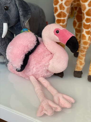 Toy Store «Toy World Incorporated», reviews and photos, 7455 NW 41st St, Miami, FL 33166, USA