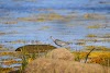 Owls Head Provincial Park Logo, Ɔtare Charlotte, Canada, Park