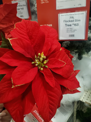 Craft Store «Michaels», reviews and photos, 751 N Hwy 67, Cedar Hill, TX 75104, USA