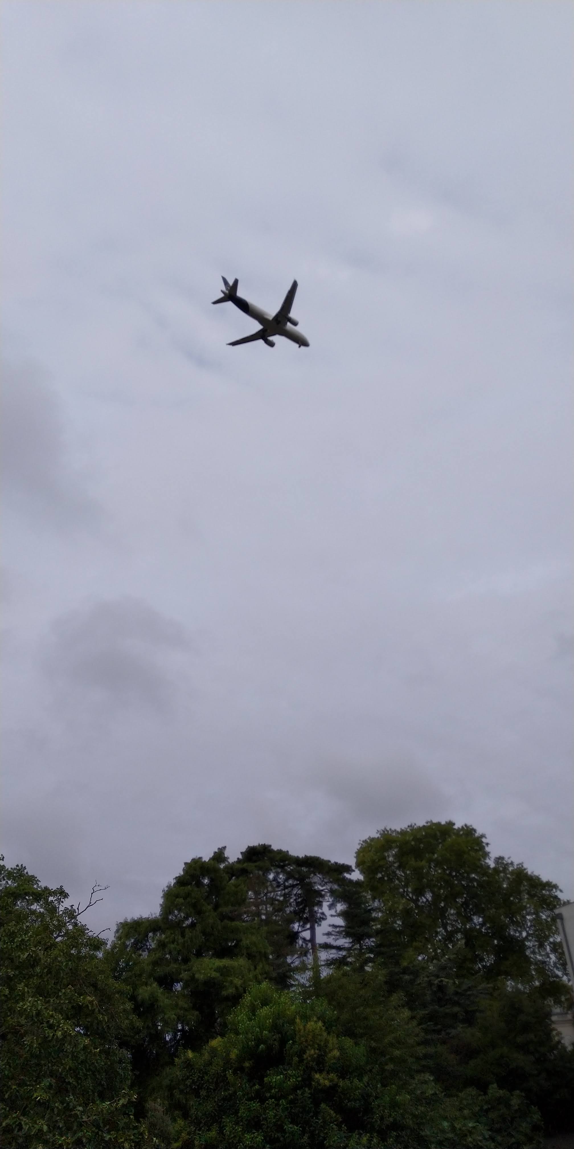 Photo n° 2 de l'avis de Quoc-Vinh.a fait le 19/08/2019 à 19:35