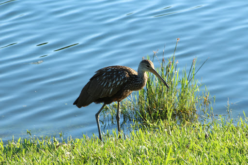 Park «Oak Lake Park», reviews and photos, 3190 N 56th Ave, Hollywood, FL 33021, USA