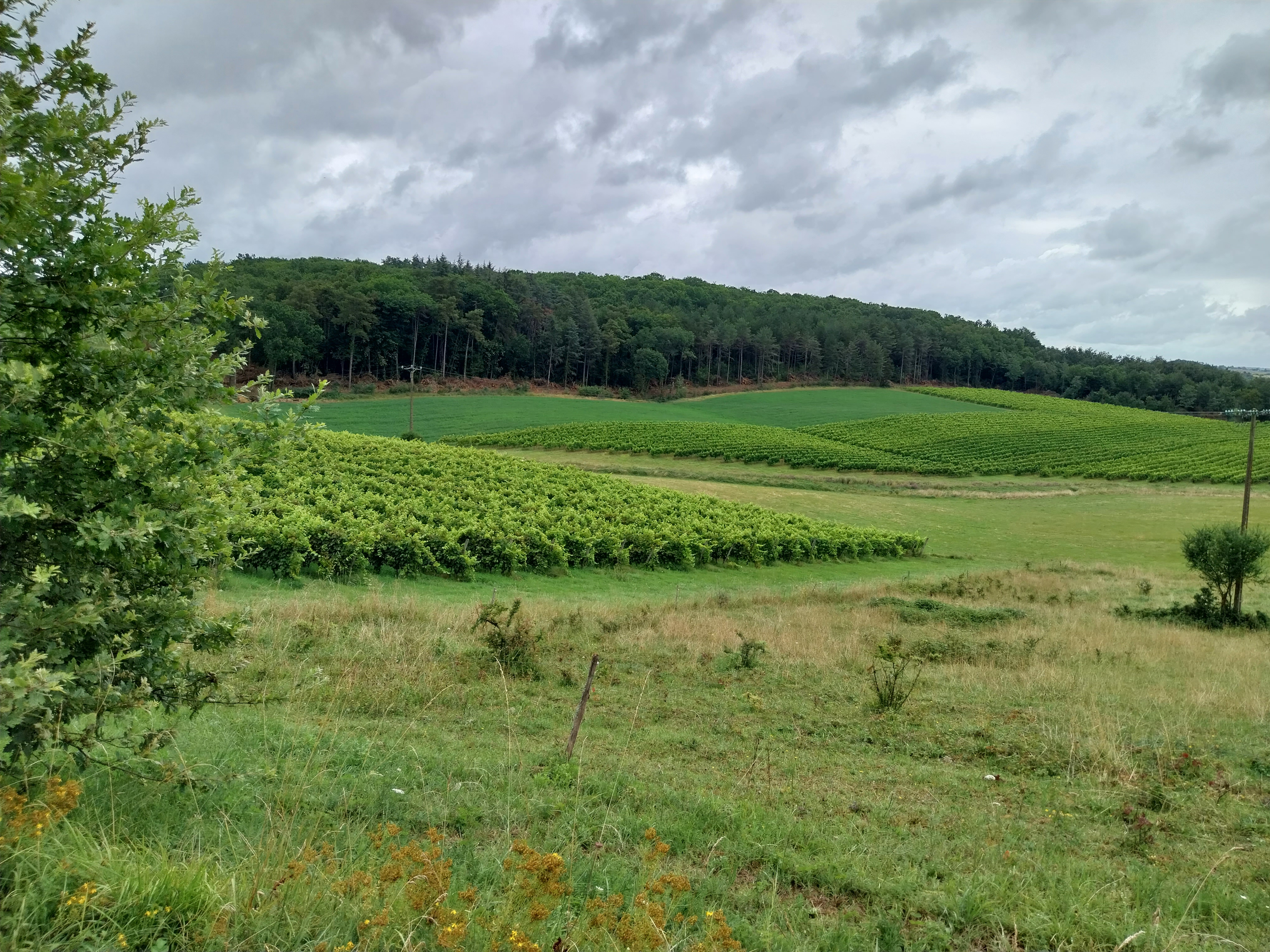 Photo n° 3 de l'avis de Fabien.o fait le 25/07/2023 à 11:49