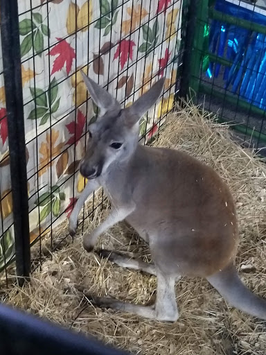 Live Music Venue «Oak Mountain Amphitheatre», reviews and photos, 1000 Amphitheater Rd, Pelham, AL 35124, USA