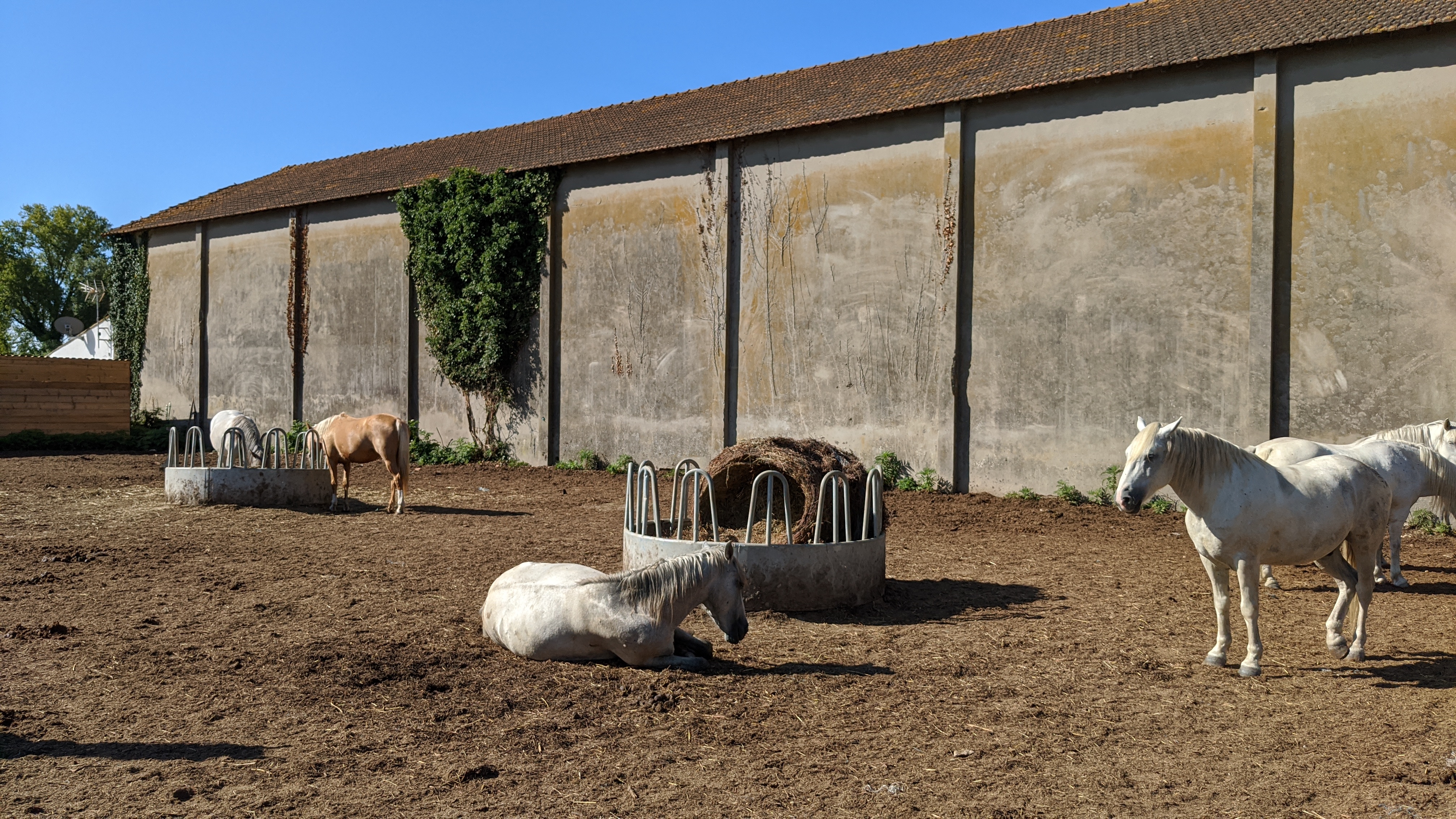 Photo n° 2 de l'avis de Manuel.o fait le 02/08/2021 à 10:27