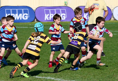 Petersham Juniors Rugby Club