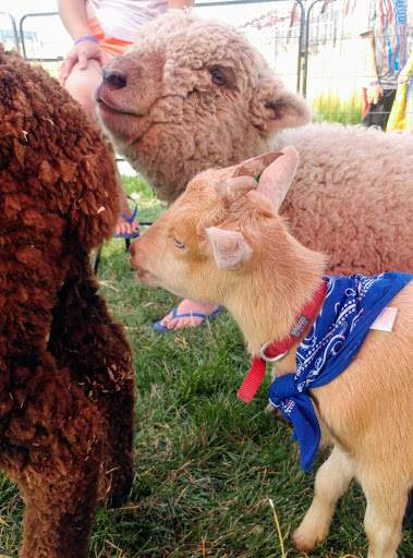 Science Museum «Science City», reviews and photos, 30 W Pershing Rd, Kansas City, MO 64108, USA