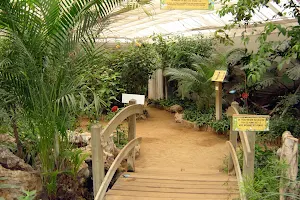 The Butterfly House image