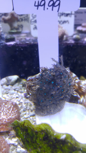 Pet Supply Store «Petco Animal Supplies», reviews and photos, 1 US-46, Totowa, NJ 07512, USA