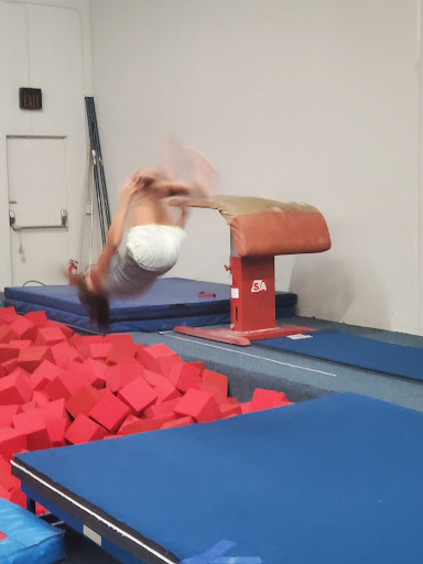 Gymnastics Center «Texas Gymnastics Training Center», reviews and photos, 1331 US Highway 80 E # 4, Mesquite, TX 75150, USA