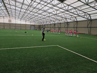 Newcastle United Training Ground - Newcastle upon Tyne NE12 9SF, United Kingdom