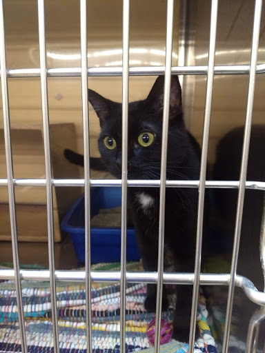 Pet Supply Store «PetSmart», reviews and photos, 8281 Troy Pike, Huber Heights, OH 45424, USA