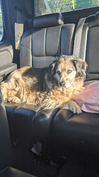 Bubble Baths and Beyond - Photo 3 - Car repair in Bessemer City, NC, Gastonia